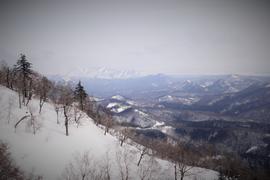 Сахалин. Мицуля