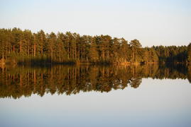 Отражение в воде