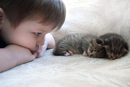 Мальчик с котятами