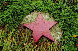 A red star in the grass