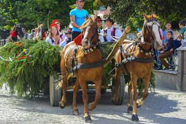 Костюмированные празднования Масленицы в селе Западной Украины