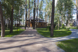 Wooden cabin in the pine forest in the summer