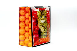 Новогодний пакет с изображением кота на красном фоне
