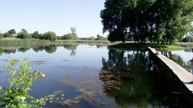 The magnificent nature and fishing in Zhitomir, Ukraine. Family rest. Beautiful kinds. A carp