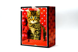 Новогодний пакет с изображением кота на красном фоне