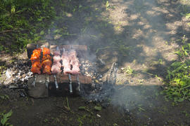Shish kebab on skewers. Cooking meat on the coals.