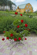Monastery of Our Lady of Kazan. The design of the monastery. flowers