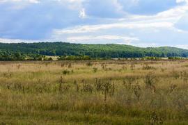 Пейзаж полей и гор в Западной Украине