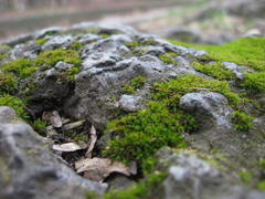 Зелёная скала