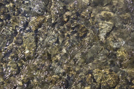 Pebbles under water at the bottom of the river.