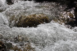 Rapids on mountain river