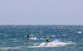 Кайсерфенгисты