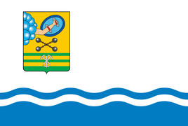 Флаг города Петрозаводск (Petrozavodsk)