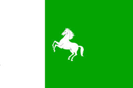 Флаг города Томск