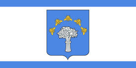 Флаг города Червень (Cherven). Беларусь