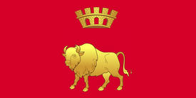Флаг Гродненской области (Grodno Oblast)
