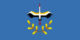 Флаг города Лельчицы (Lelchitsy). Беларусь