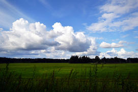 Поле и облака