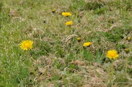 Париж, Вандея