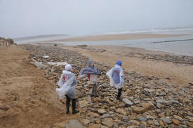 Париж, Вандея