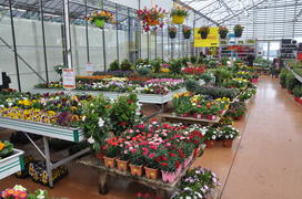 Париж, Вандея