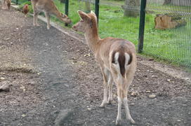 Париж, Вандея