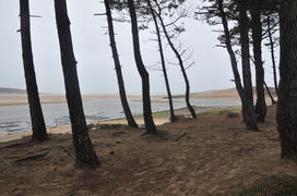 Париж, Вандея