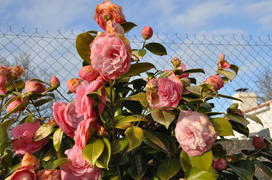 Париж, Вандея