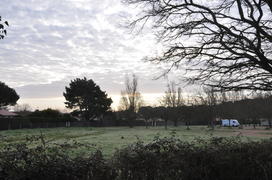 Вечерняя природа