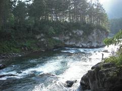 Чемал стремится в Катунь