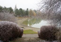 Зимний парк и озеро