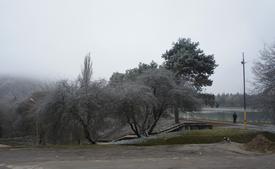 Зимний парк и озеро