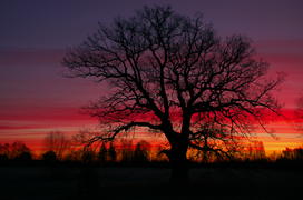 -22_10_13___природа_002