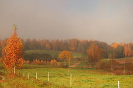 Пасмурно-солнечная осень