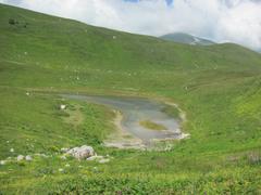 горная равнина