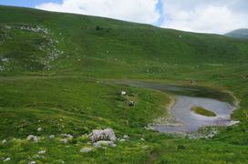 Озеро в Горах . 