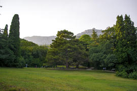 Парк (поляна)