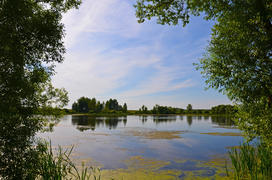 Гляжу в озёра синие