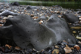 Обливной камень похожий на тюленя