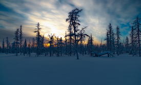 Закат над заснеженным полем 