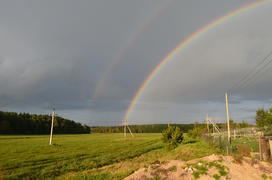 Радуга над зеленым полем после дождя 