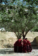 Молодые монахи монастыря Ташилхунпо