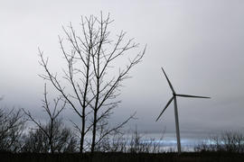 Ветреная мельница