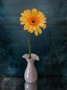 Цветок желтый в вазе