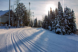 Биатлонный Центр