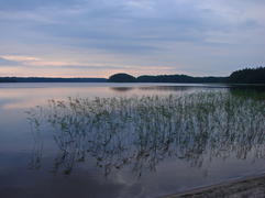 Лесное озеро