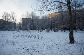 Наконец-то зима