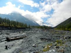 Мертвая река