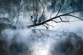 Зимняя зарисовка II