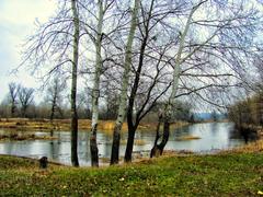 Осенний пейзаж.